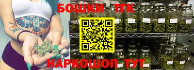индика Кандалакша