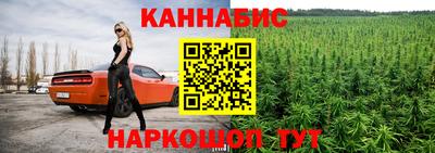 индика Кандалакша