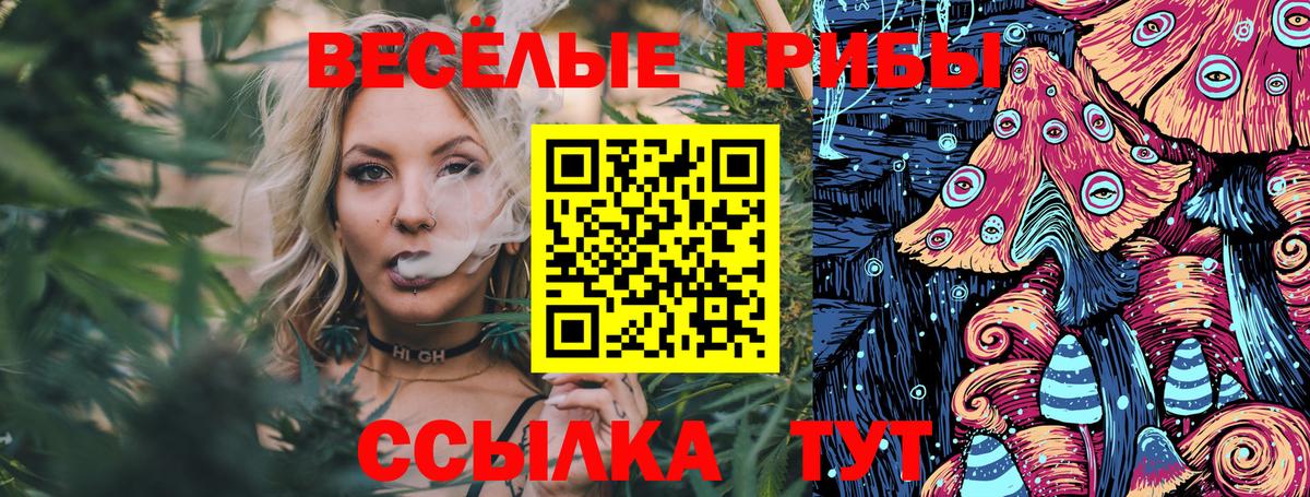 Псилоцибиновые грибы Magic Shrooms  купить   Кыштым  Вход с VPN 